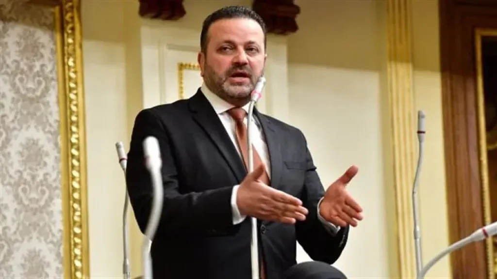 النائب احمد الشرقاوى