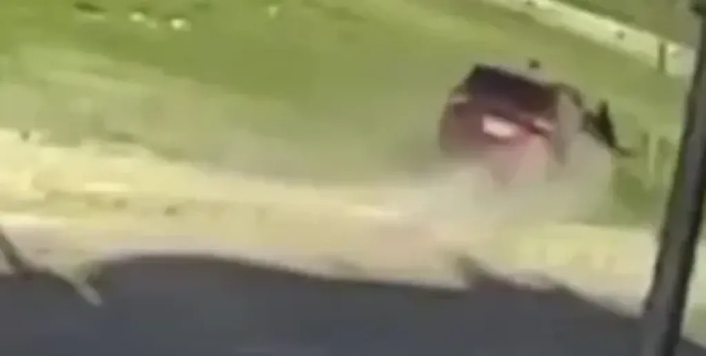 حادث الدهس