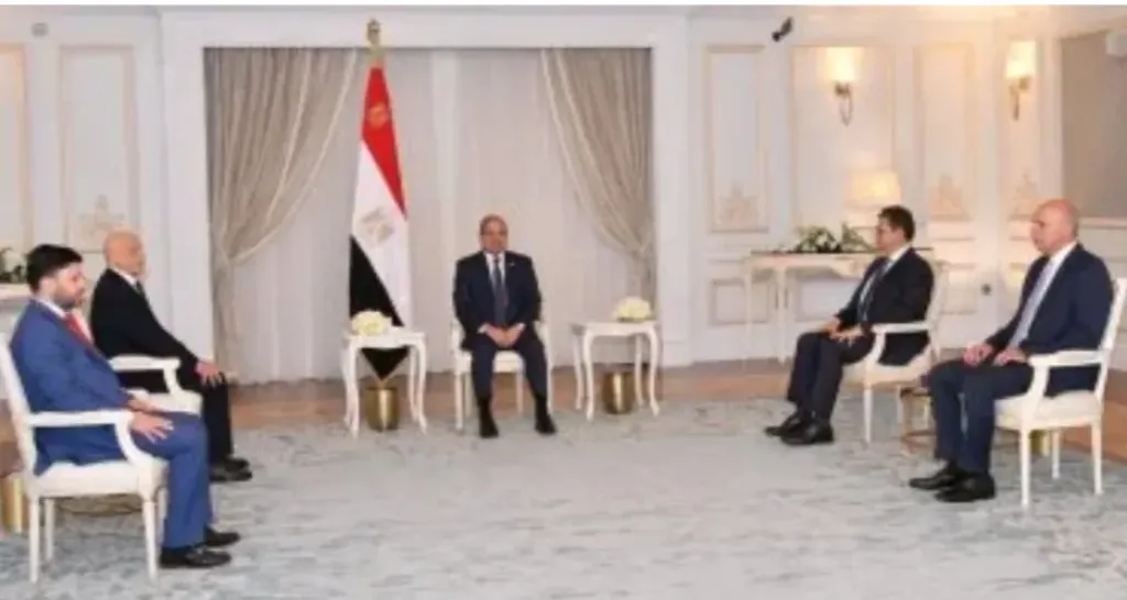 لقاء السيد الرئيس عبد الفتاح السيسى