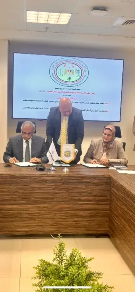 المصرية لنقل الكهرباء