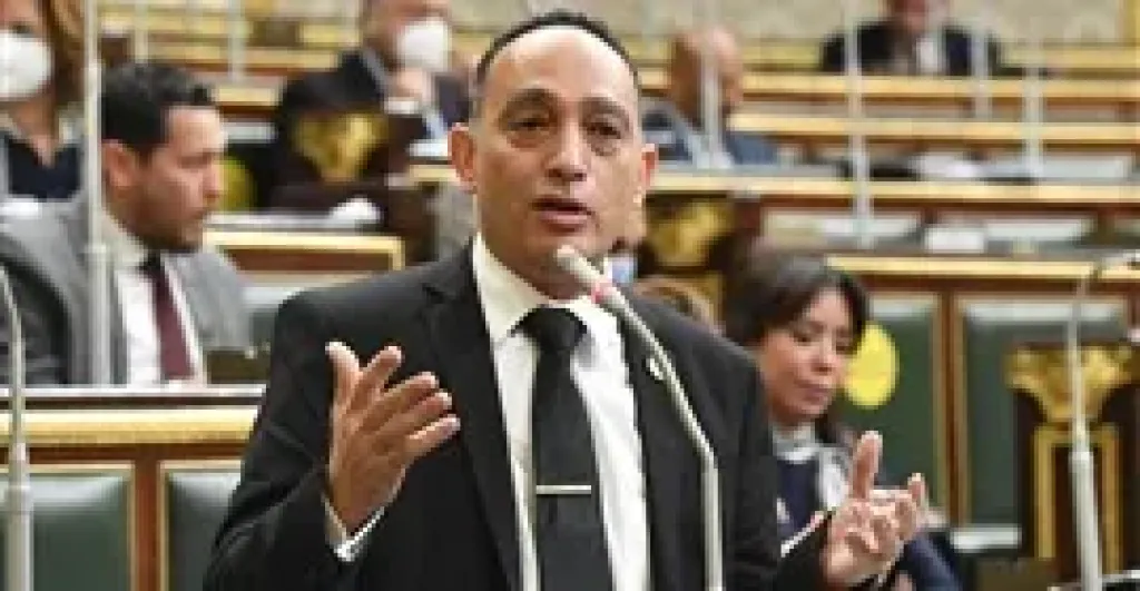 النائب فريدي البياضي