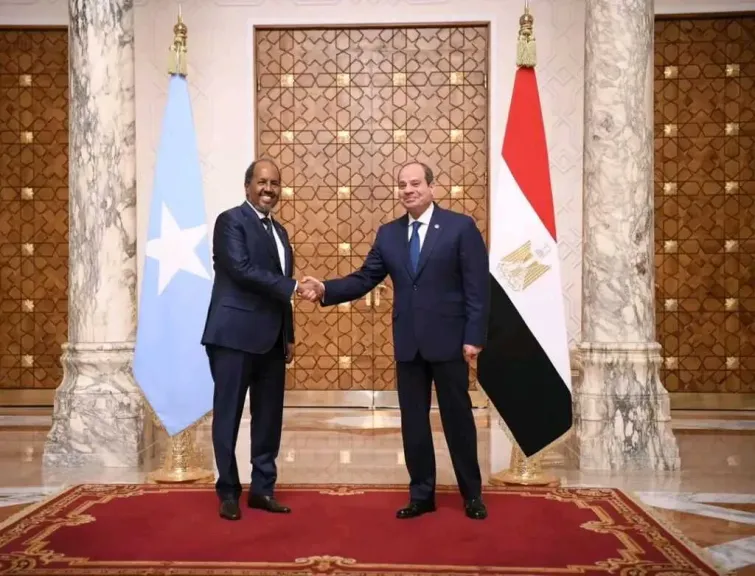 الرئيس عبد الفتاح السيسي