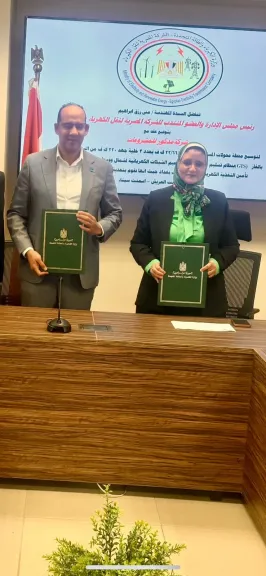 نقل الكهرباء