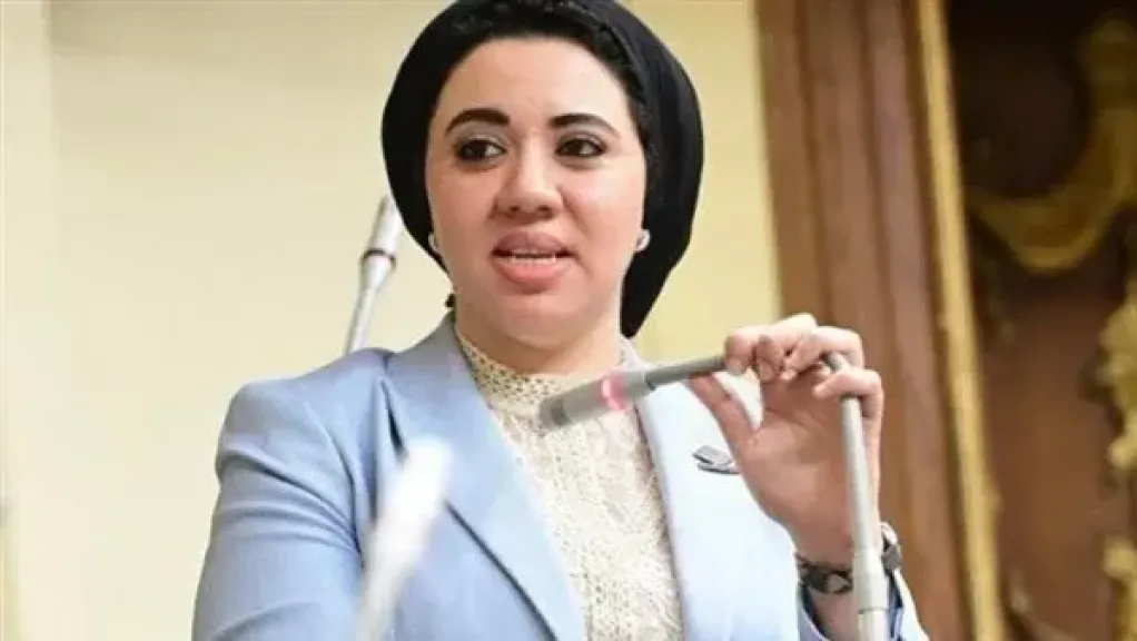 النائبة أميرة صابر