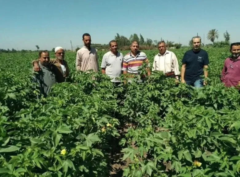 جانب من الندوة الارشادية عن النهوض بمحصول القطن