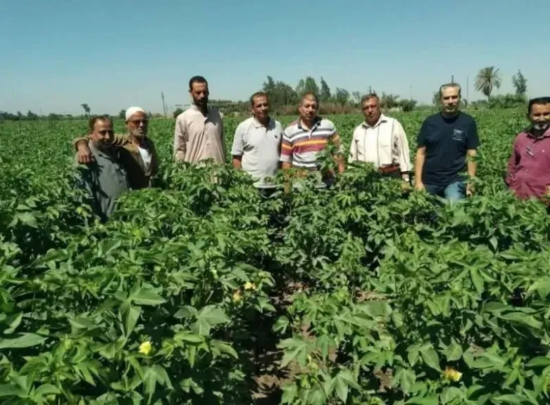 وزارة الزراعة