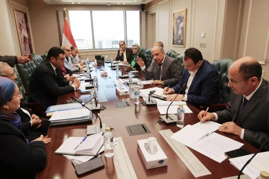 وزير الكهرباء 