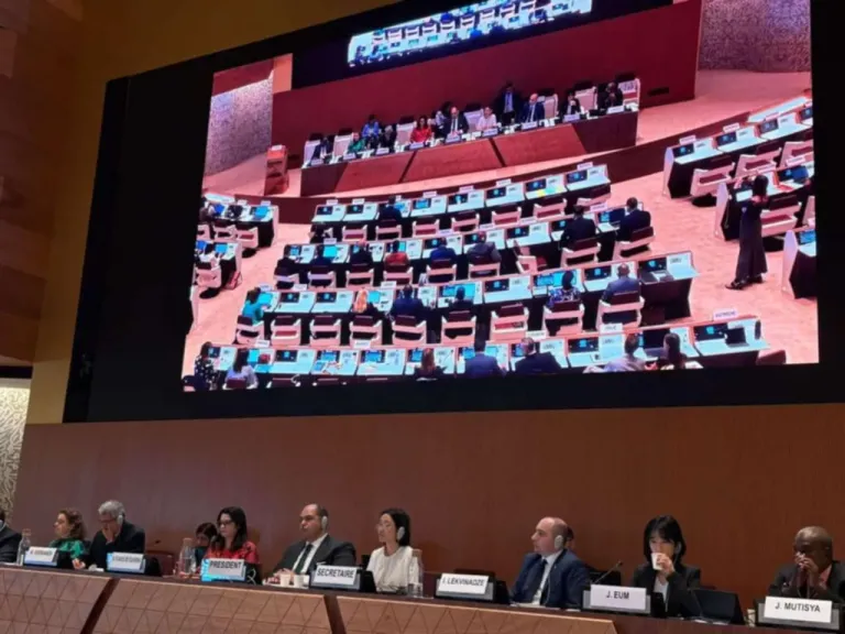 منظمة الأمم المتحدة للتجارة