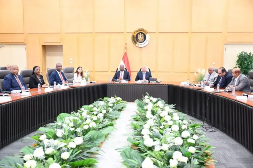 وزير النقل 