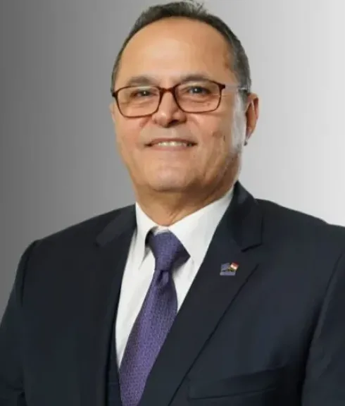 المهندس مدحت القاضي 