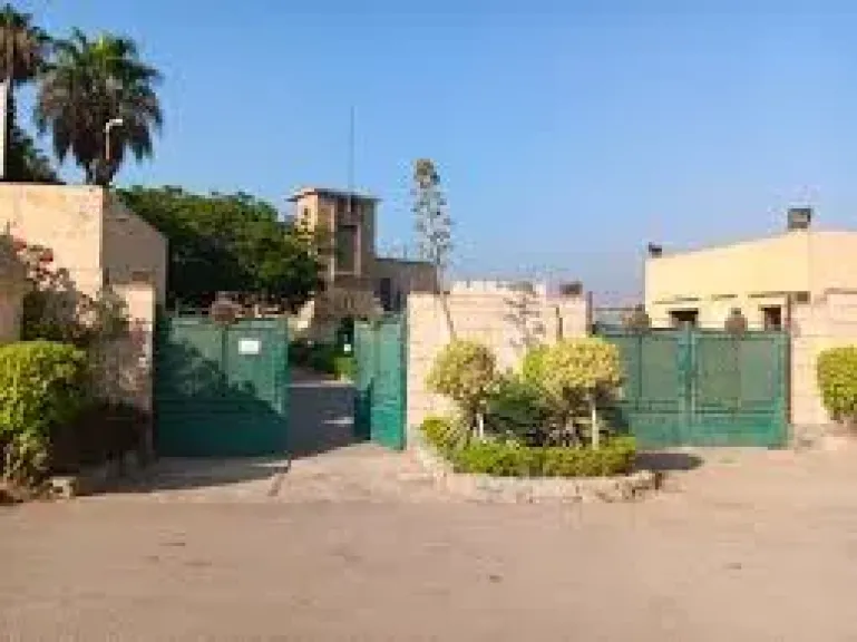 ركن فاروق للاثار