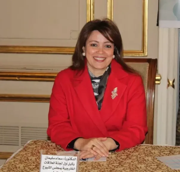 النائبة سماء سليمان 