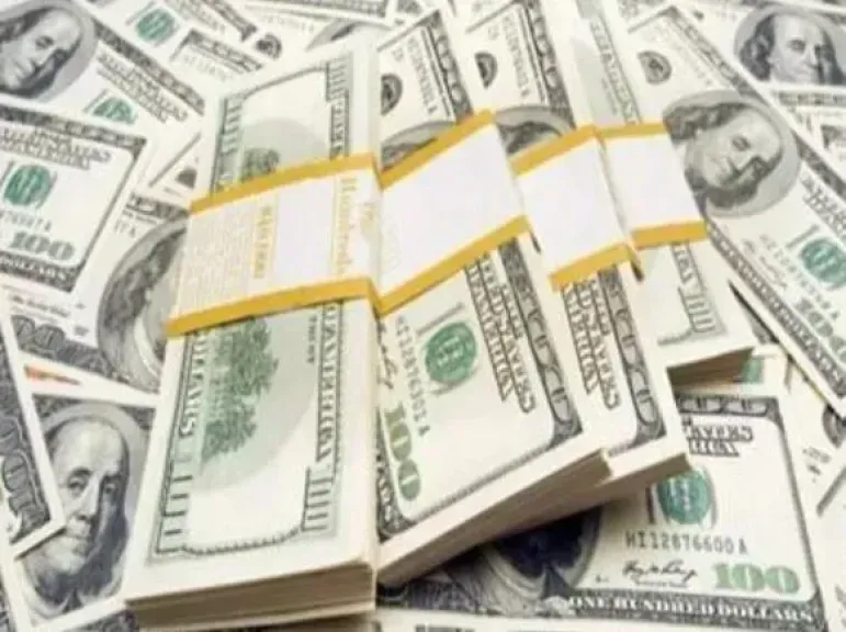 سعر الدولار 