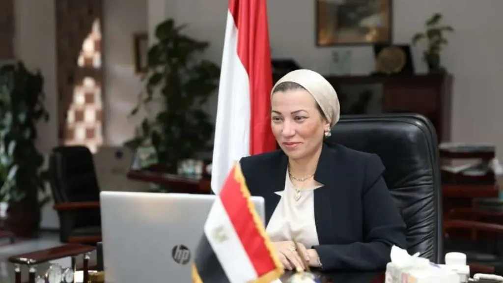 الدكتورة ياسمين فؤاد 