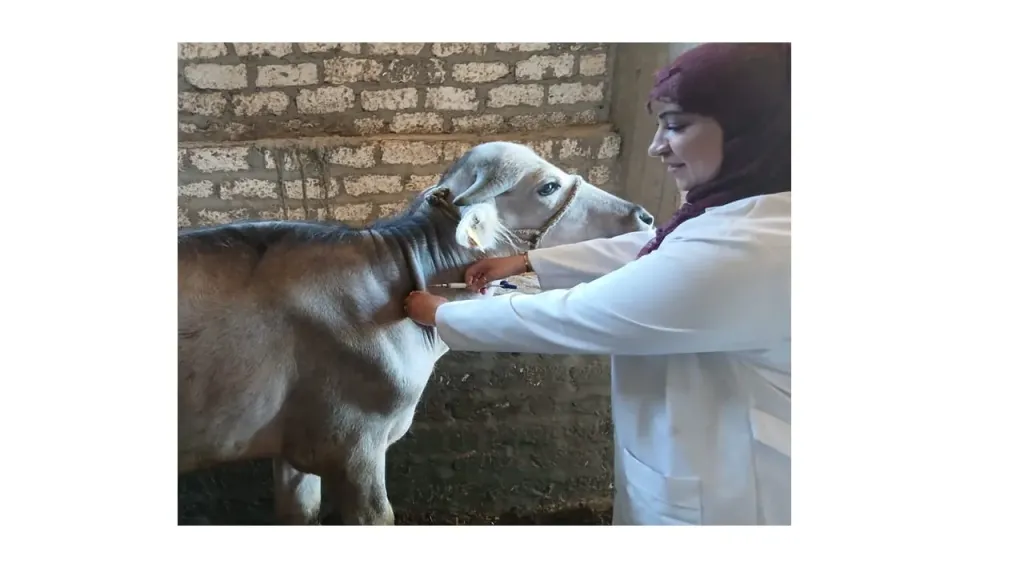 جانب من متابعه 