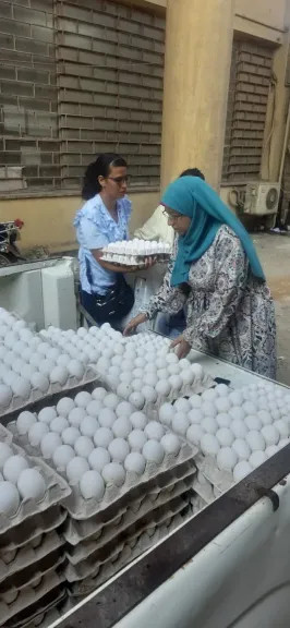 بيع منتجات وزارة الزراعة