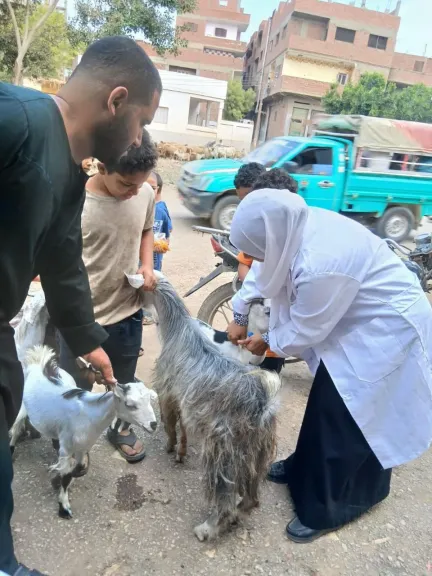 جانب من التحصين 