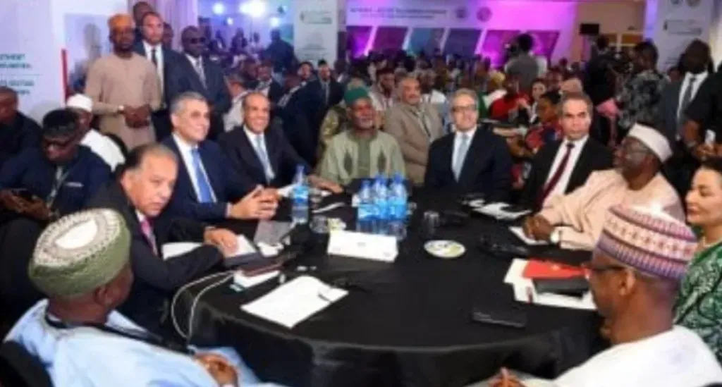 وزير الخارجية وخالد العناني فى نيجيريا