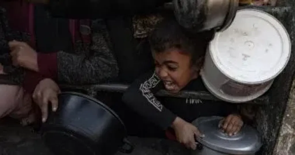 مجاعة 