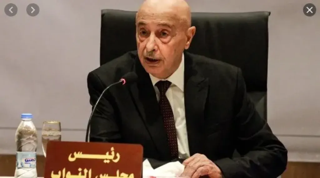 رئيس البرلمان الليبي 