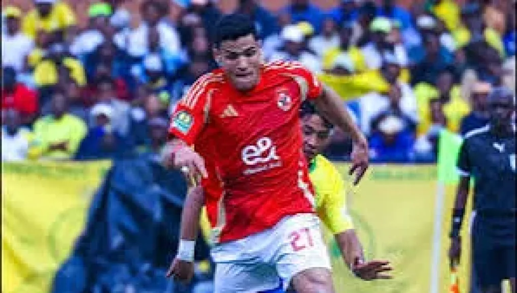 مصطفي العش