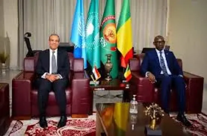 جانب من اللقاء 