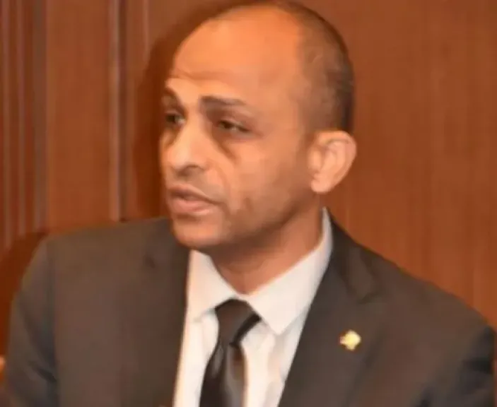فارس حسنى