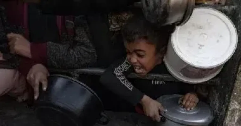 مجاعة 