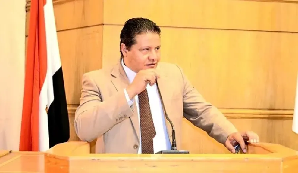 السفير مصطفى الشربينى