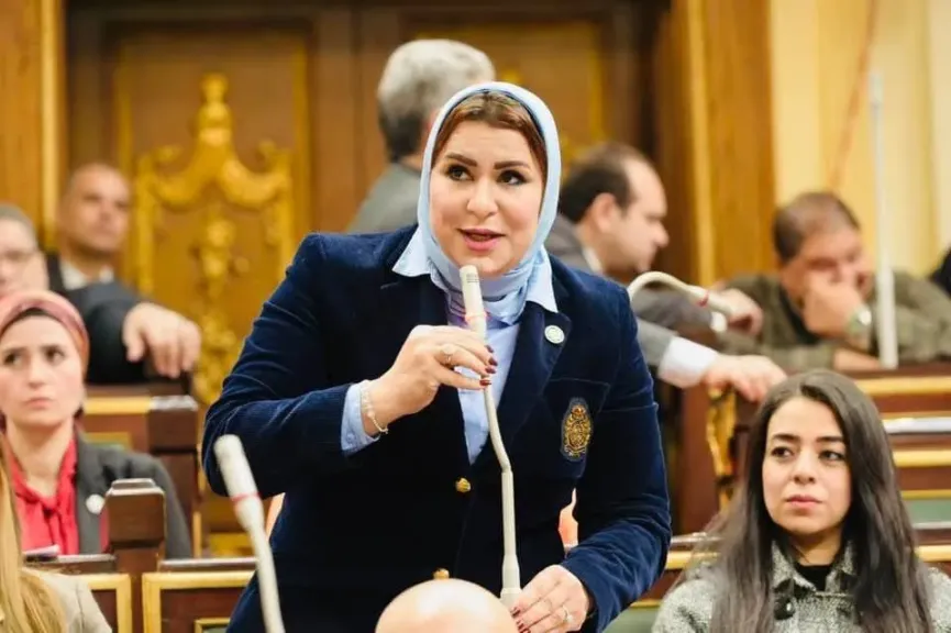 النائبة نيفين الكاتب