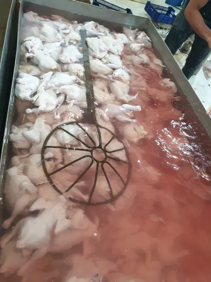 جانب من المضبوطات