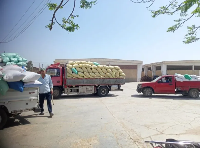 الاقماح الموردة 
