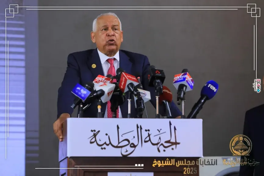 محمد فرج عامر 
