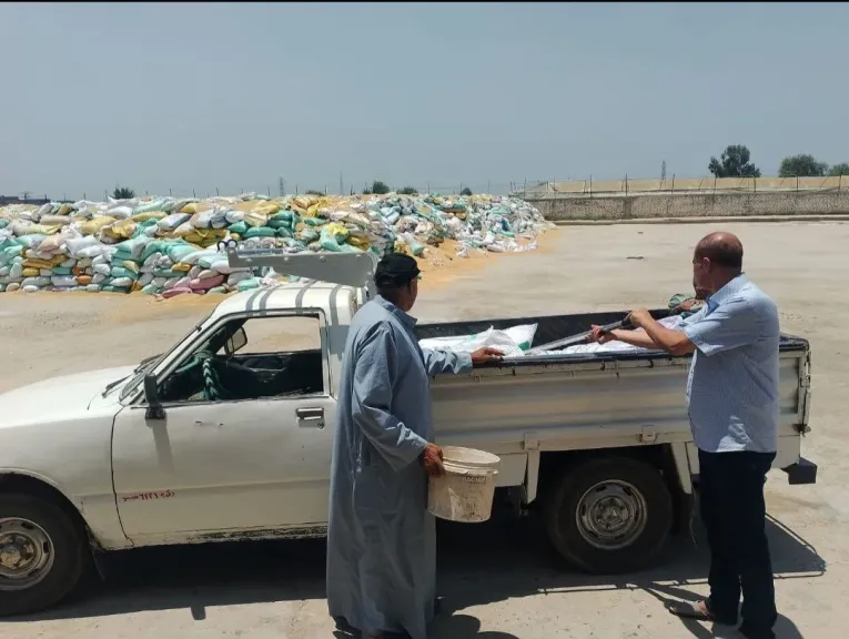 جانب من التوريد