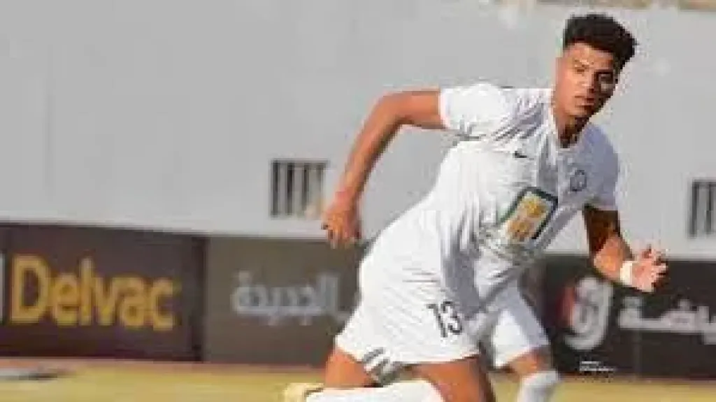 أحمد ربيع