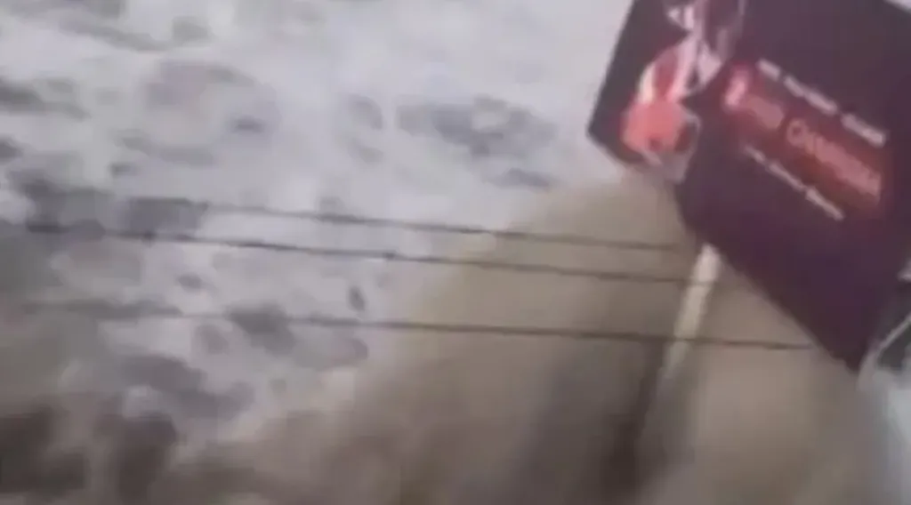 البحرية الأمريكية تساعد بعمليات الإجلاء مع وصول تسونامى لولاية هاواى