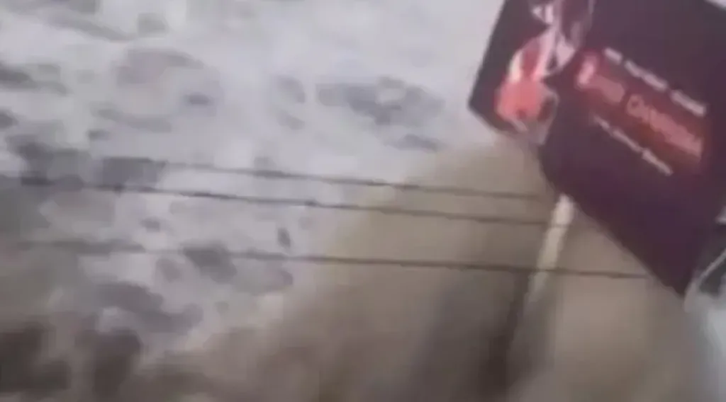تسونامي 