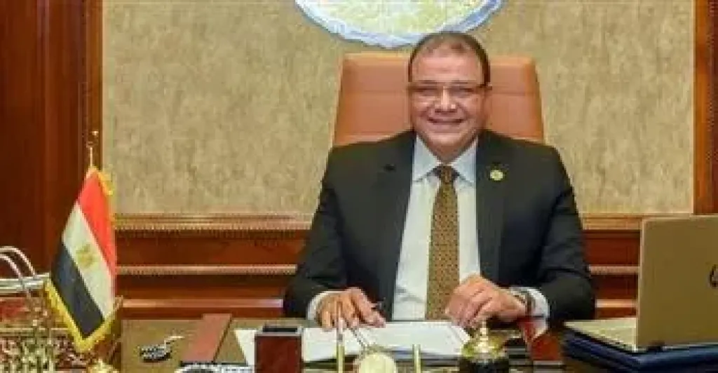 المهندس بدوي السيد 