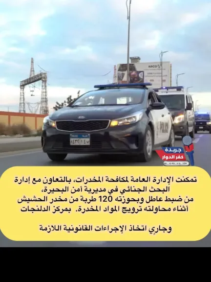جانب من الحملات 