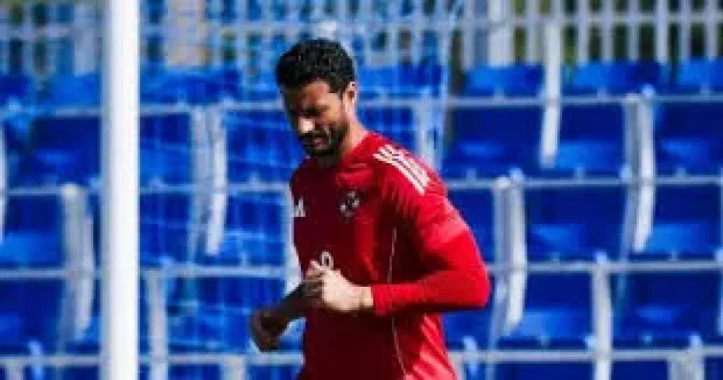 محمد الشناوي