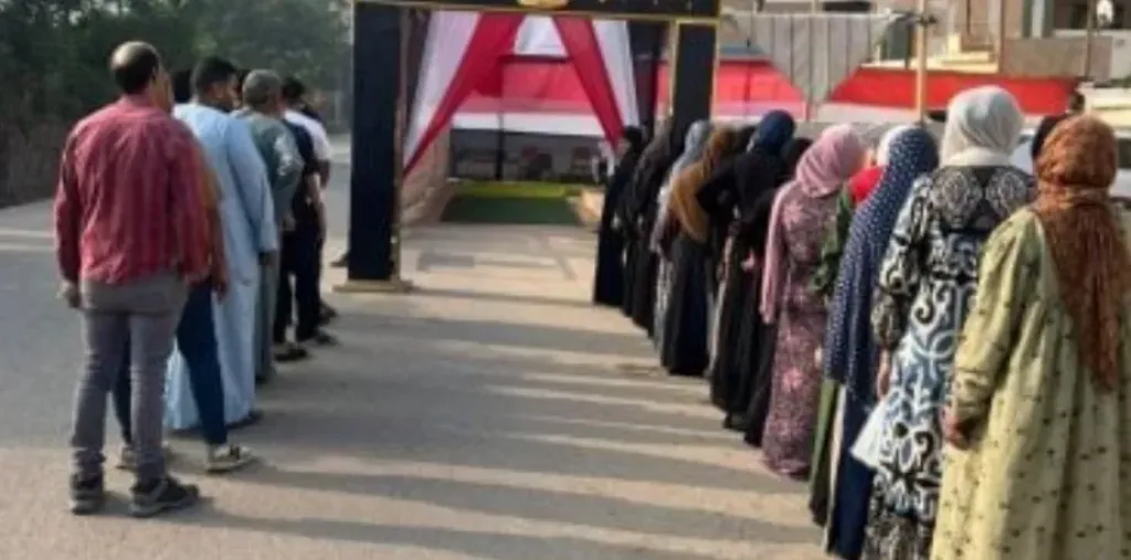 انتخابات مجلس الشيوخ