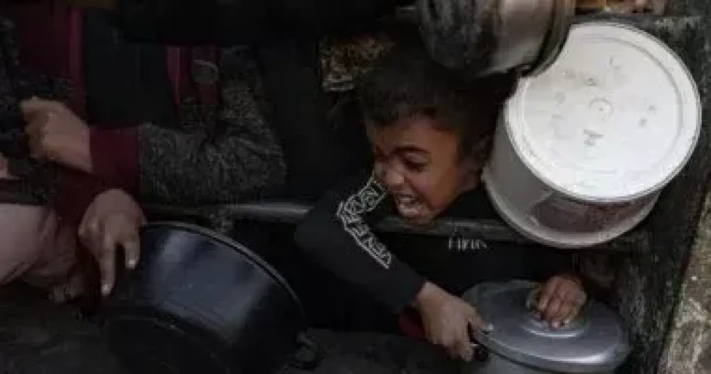 مجاعة 