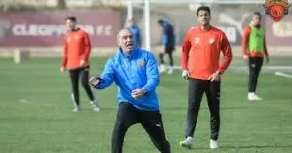 علي ماهر