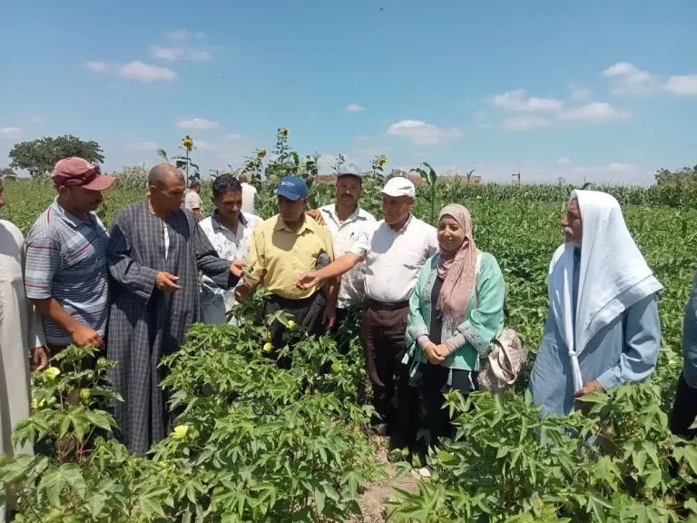 ندوات الإرشاد الزراعي 