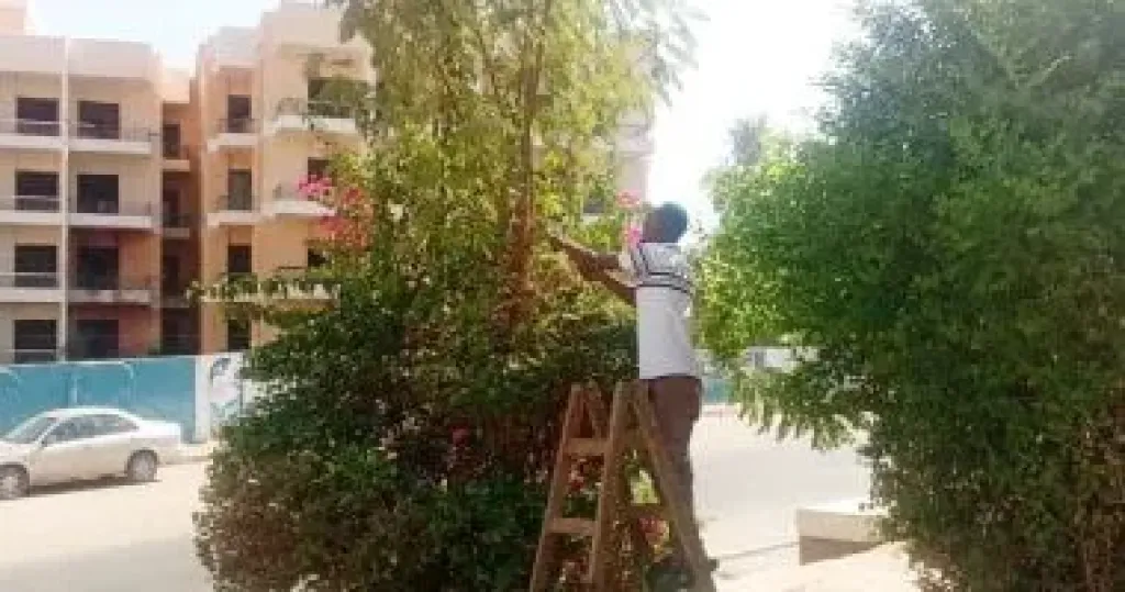  النظافة العامة  