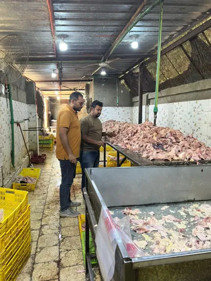 ضبط لحوم ودواجن