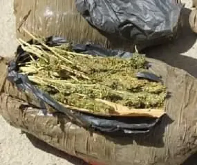بانجو وهيدرو
