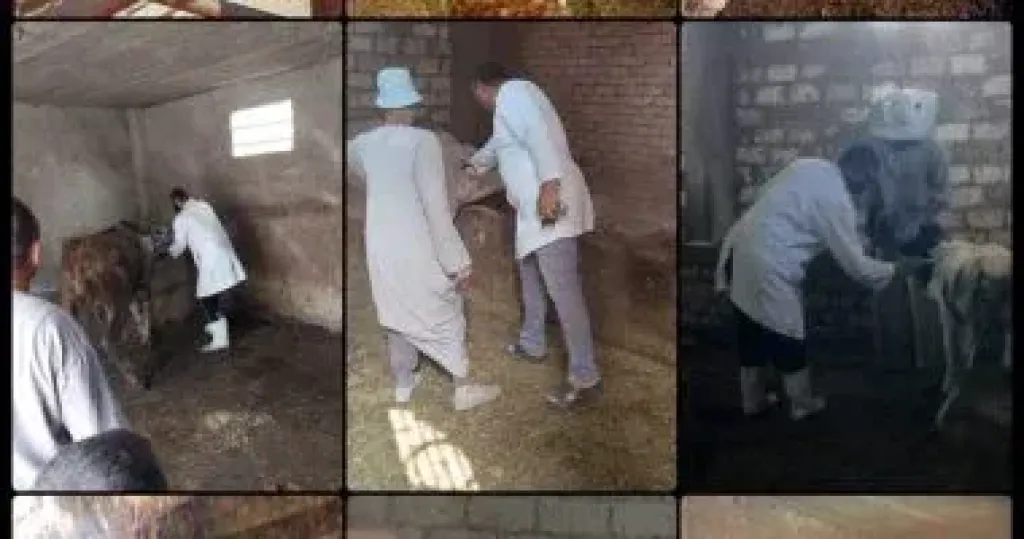 جانب من الحملة 