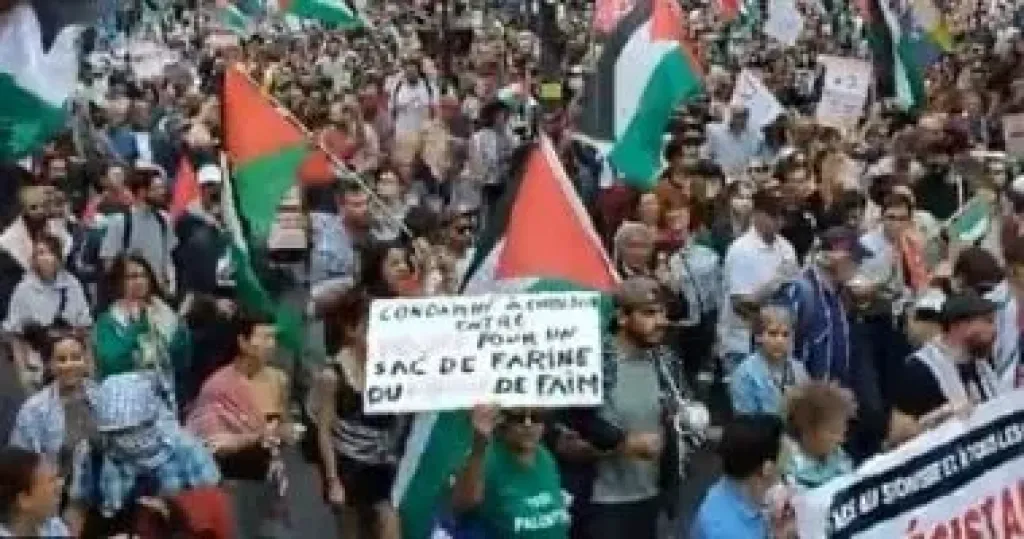 مظاهرات دعم فلسطين
