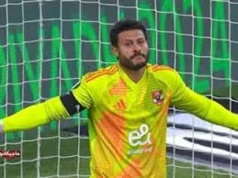 محمد الشناوي